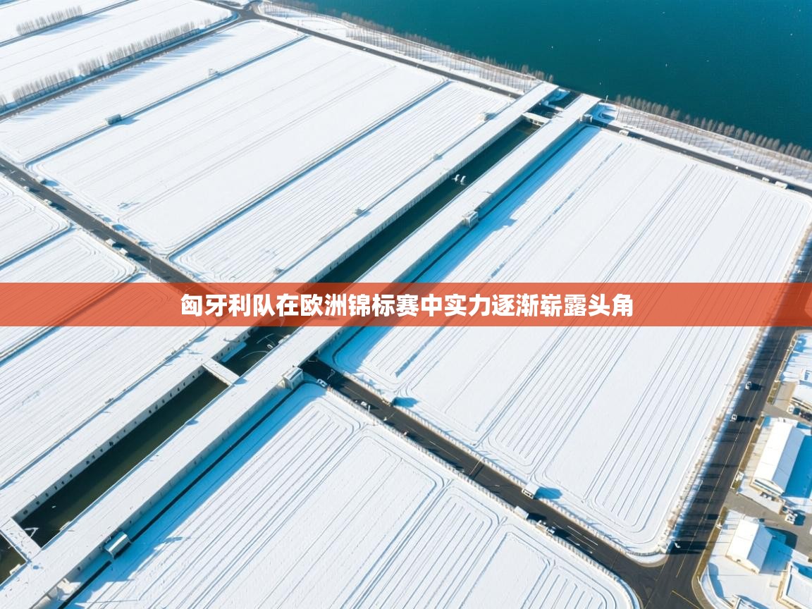 匈牙利队在欧洲锦标赛中实力逐渐崭露头角  第1张