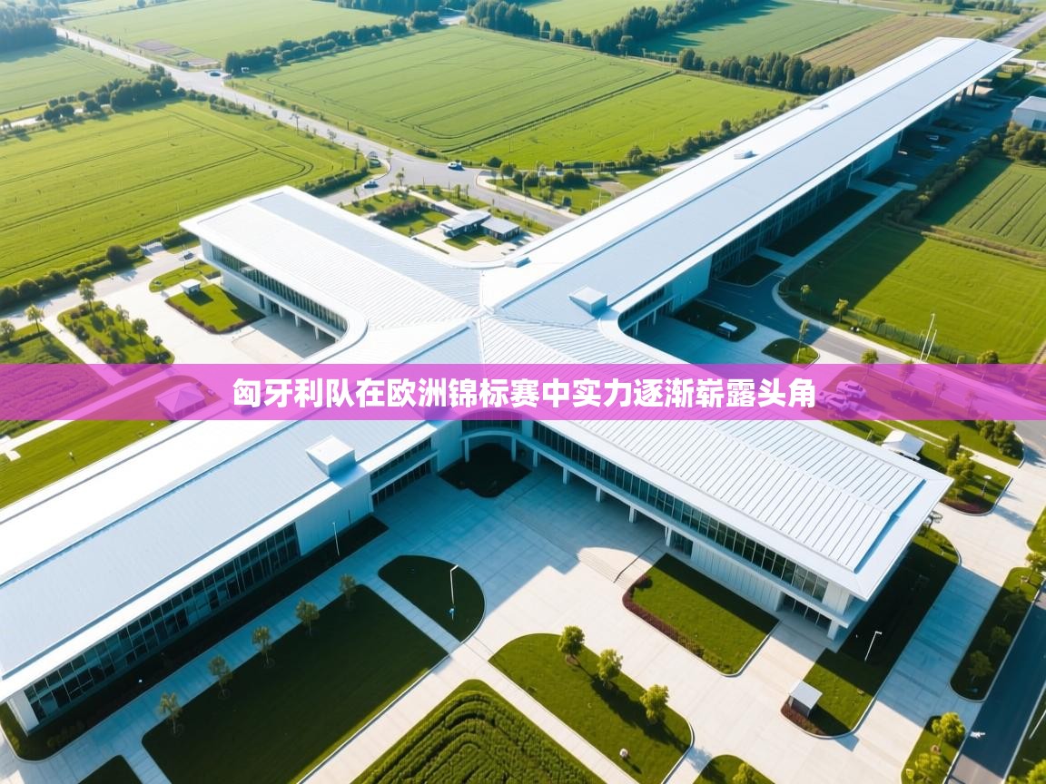 匈牙利队在欧洲锦标赛中实力逐渐崭露头角  第2张